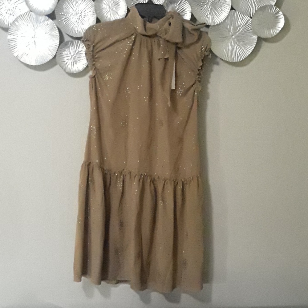 Authentic Tomas Maier silk bronze dress